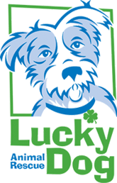 Lucky Dog Animal Rescue